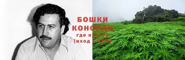 первитин Медвежьегорск