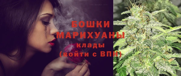 амф Мегион