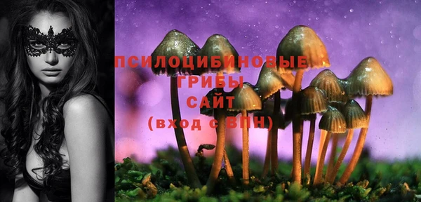 первитин Медвежьегорск