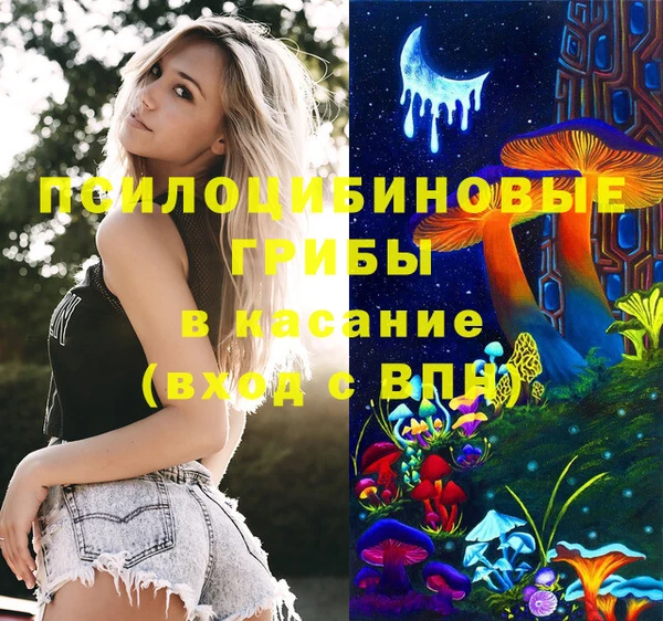 амф Мегион