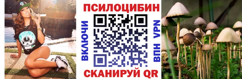 как найти наркотики  Улан-Удэ  Галлюциногенные грибы Cubensis 